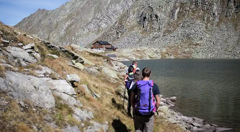Sommerhus i Wald im Pinzgau