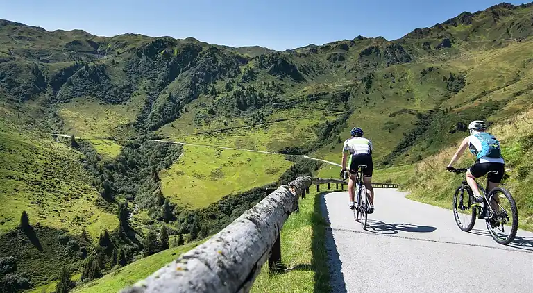 Sommerhus i Wald im Pinzgau
