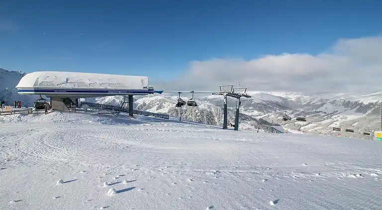 Sommerhus i Wald im Pinzgau