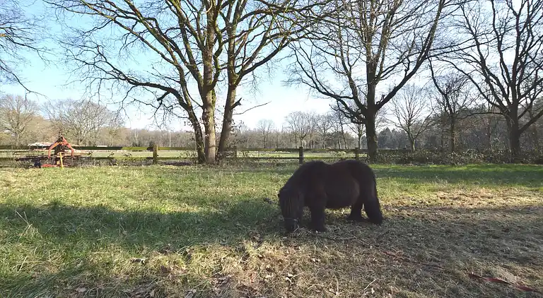Holiday home in Peer