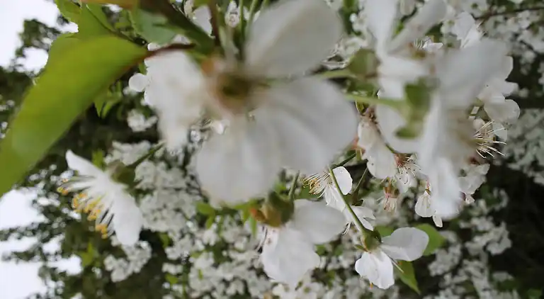 Bungalow in Teßmannsdorf