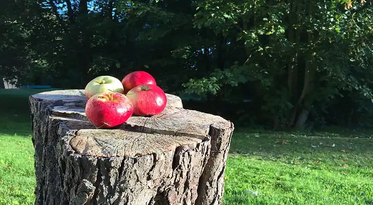 Bungalow in Teßmannsdorf