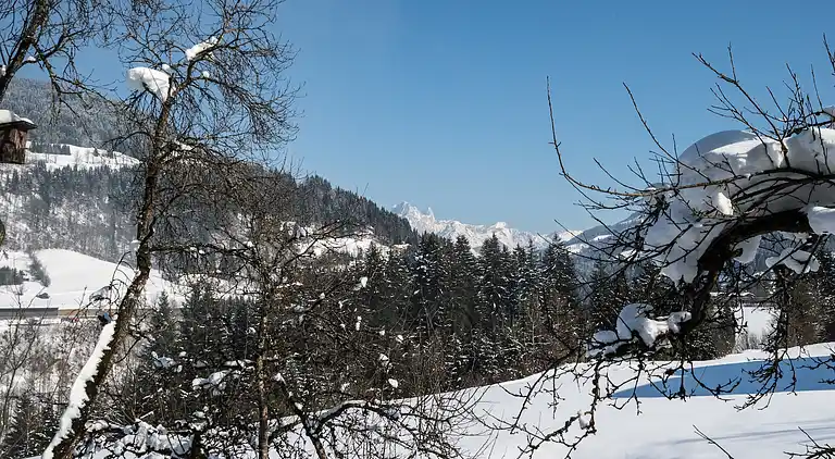 Manor house in Höllberg