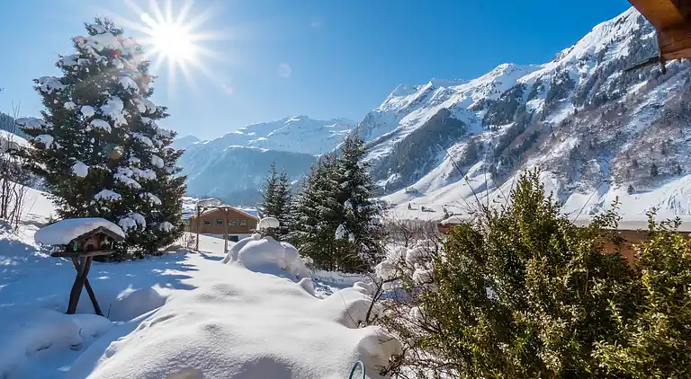 Ferienhaus in Bucheben