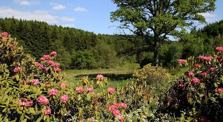 Holiday home in Houffalize
