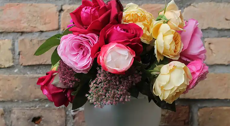 Apartment in Niederklutz