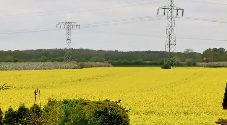 Ferielejlighed i Neu Lüdershagen