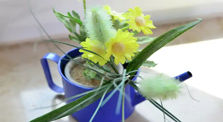 Ferienhaus in Stormbruch