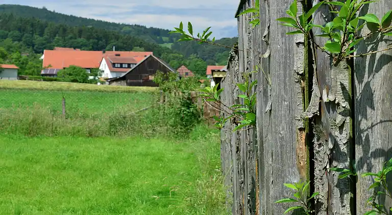 Ferienhaus in Stormbruch