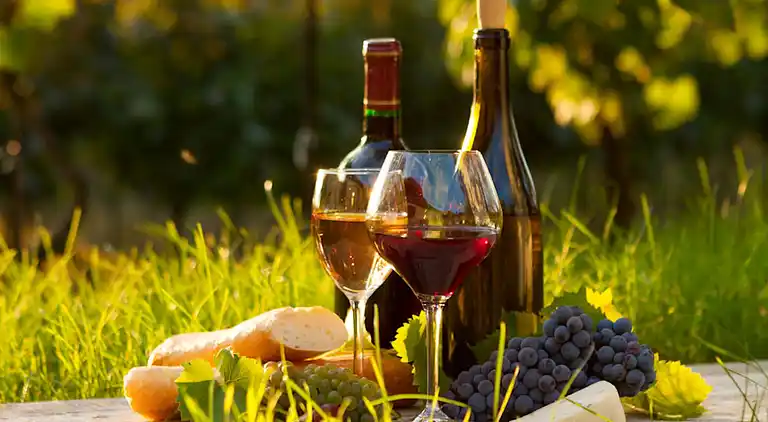 Cottage in Saint-Caprais