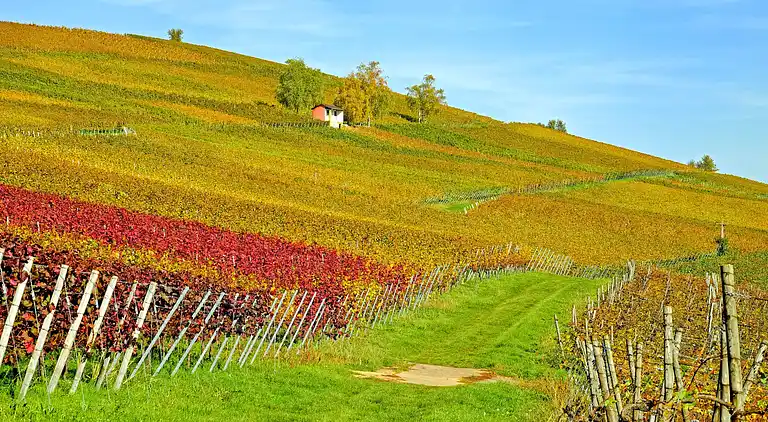 Cottage in Saint-Caprais