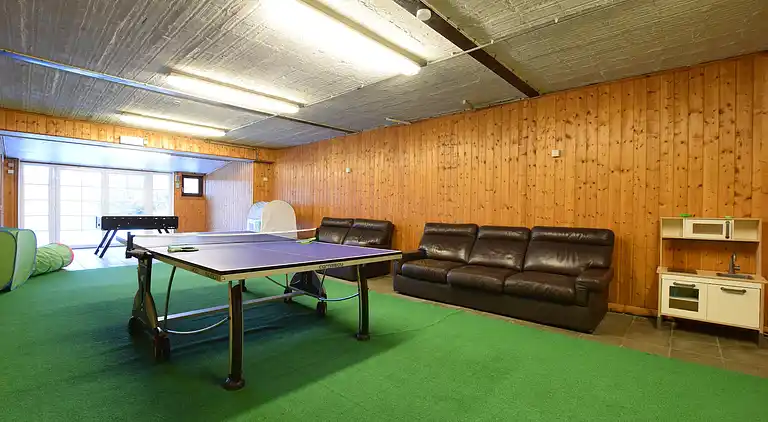 Sommerhus i Vielsalm