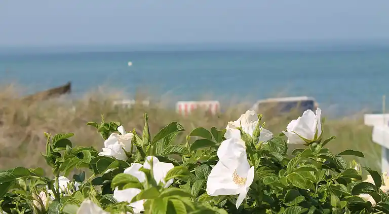 Apartment in Kröpelin