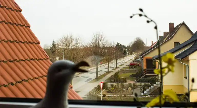 Leilighet i Lübberstorf