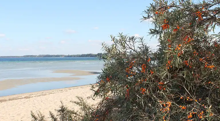 Leilighet i Lübberstorf