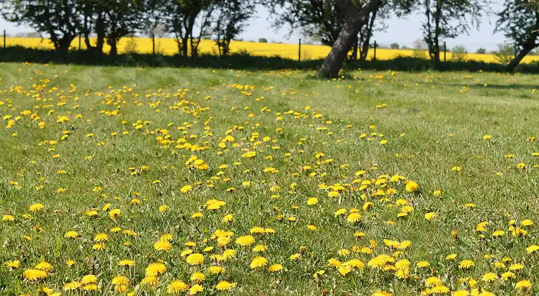 Ferielejlighed i Proseken