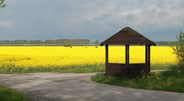 Leilighet i Lübberstorf