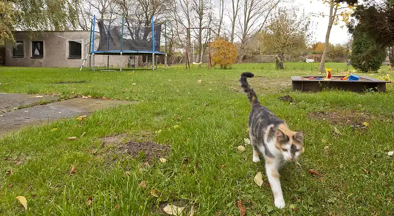 Ferielejlighed i Rakow