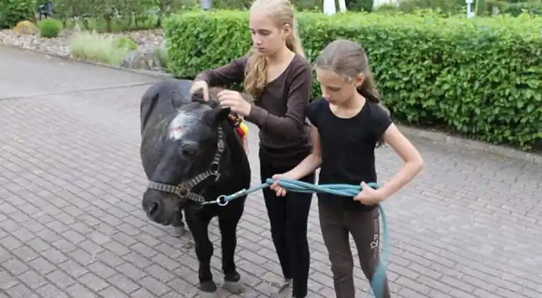 Apartment in Bellersen