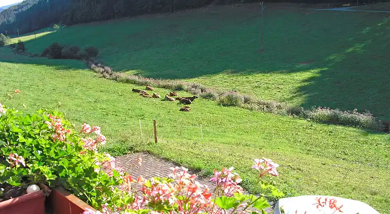 Ferienwohnung in Schwarzwald