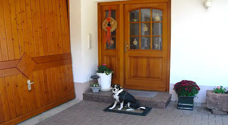 Ferienwohnung in Schwarzwald
