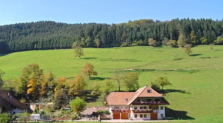Ferienwohnung in Schwarzwald
