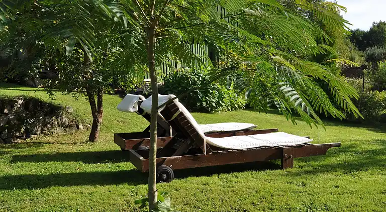 Holiday home in Bort-les-Orgues