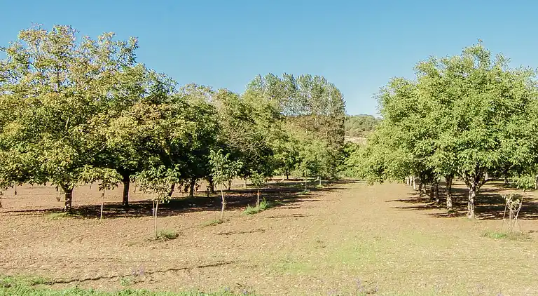 Villa i Condat-sur-Vézère