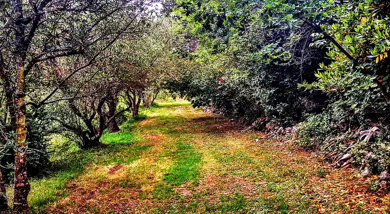 Sommerhus i Puymirol