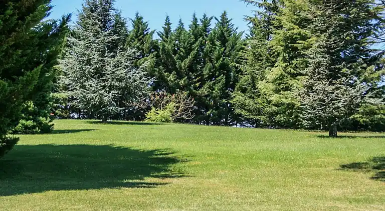 Sommerhus i Puymirol