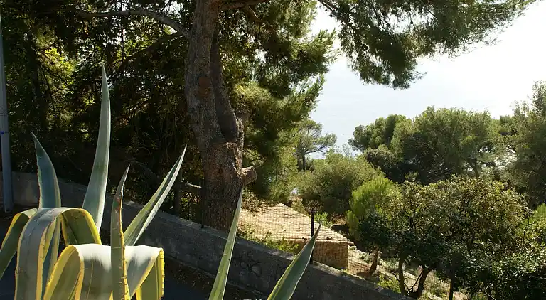 Holiday home in Carqueiranne