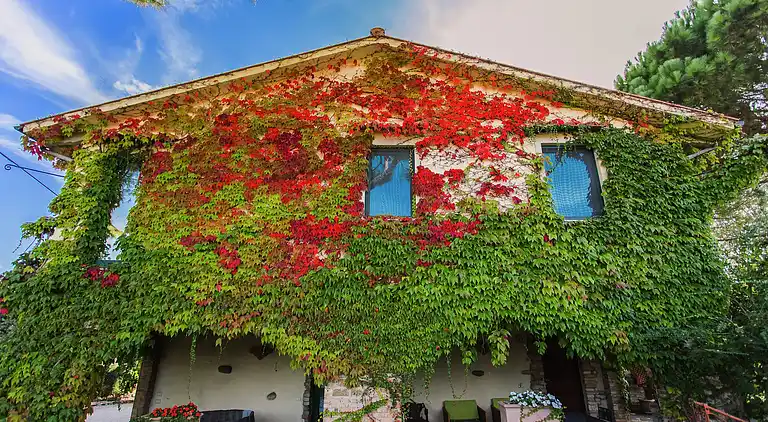 Gårdhus i Marsciano