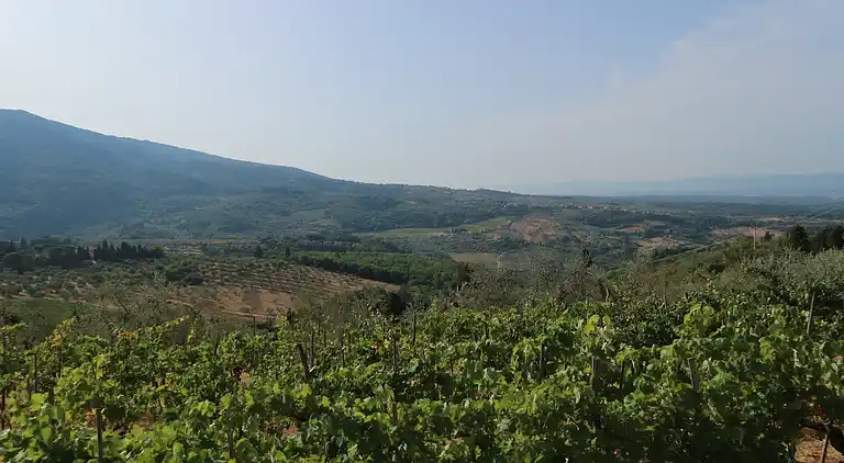 Holiday home in Pelago