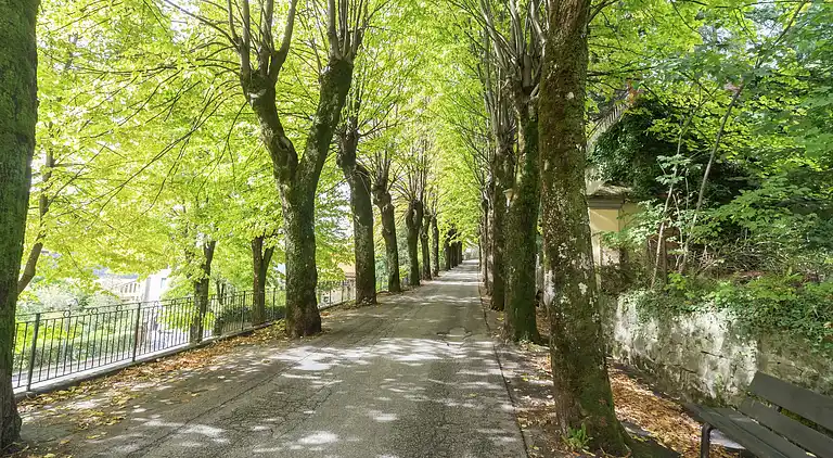 Cottage in San Marcello Pistoiese