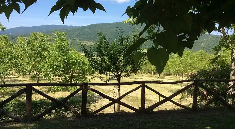 Sommerhus i Monterchi