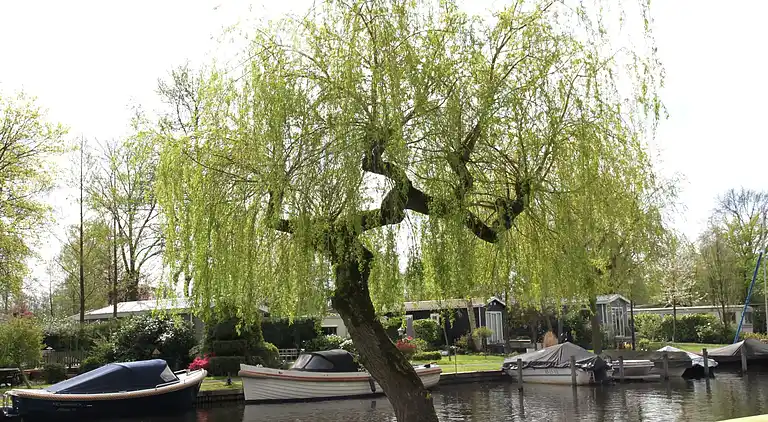 Sommerhus i Loosdrecht