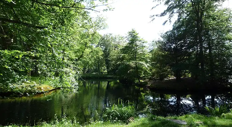 Sommerhus i Bergen aan Zee
