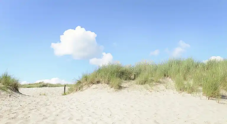 Sommerhus i Sint Maartensbrug