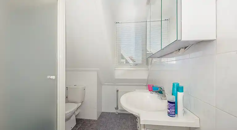 Holiday home in Bruinisse