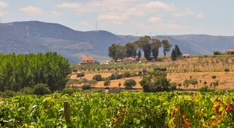 Holiday home in Vila Flor