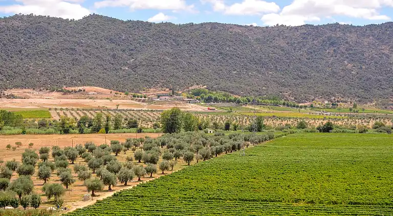 Cottage in Vila Flor