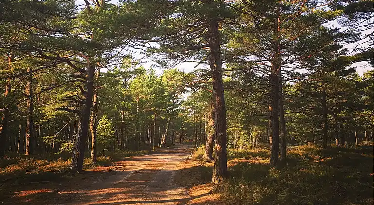 Sommerhus i Kopalino