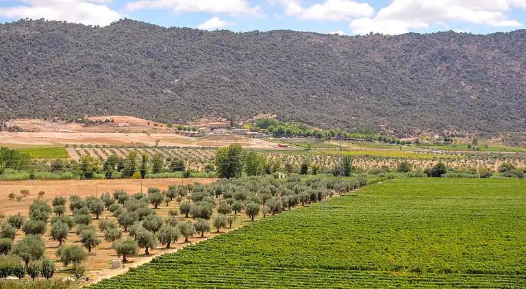 Holiday home in Vila Flor