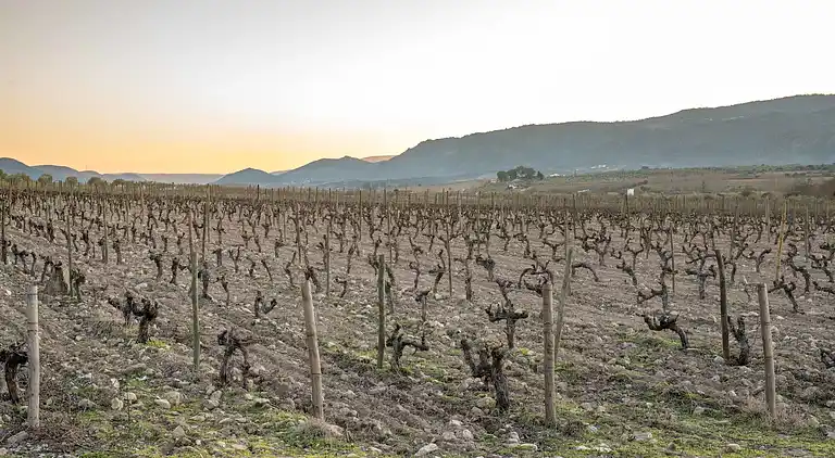 Cottage in Vila Flor