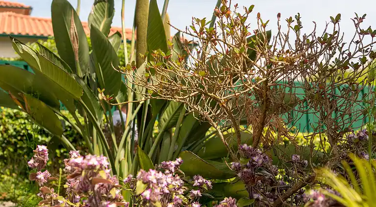 Holiday home in Ponte de Lima