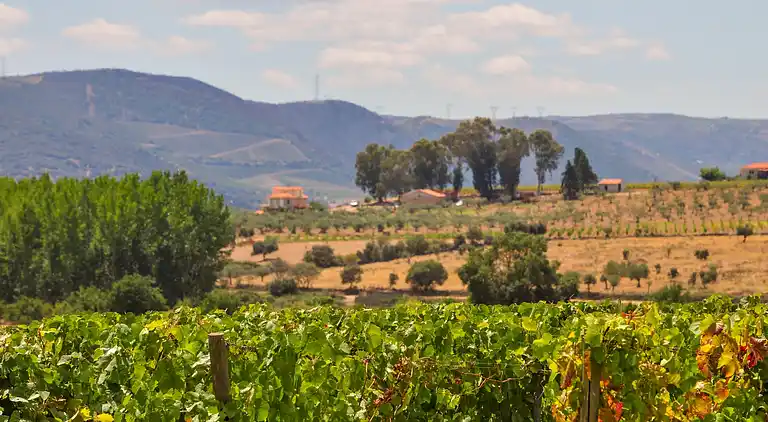 Holiday home in Vila Flor