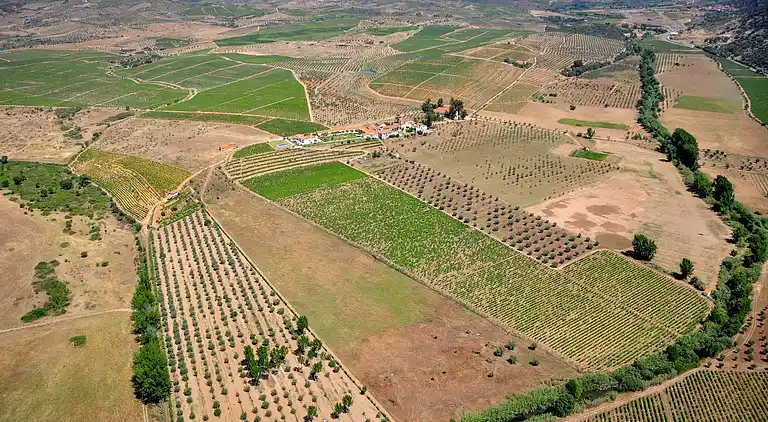 Holiday home in Vila Flor