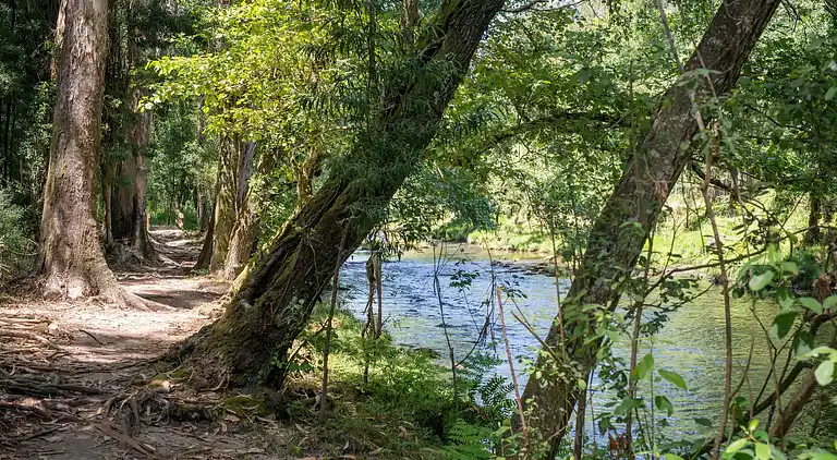 Holiday home in Ponte de Lima