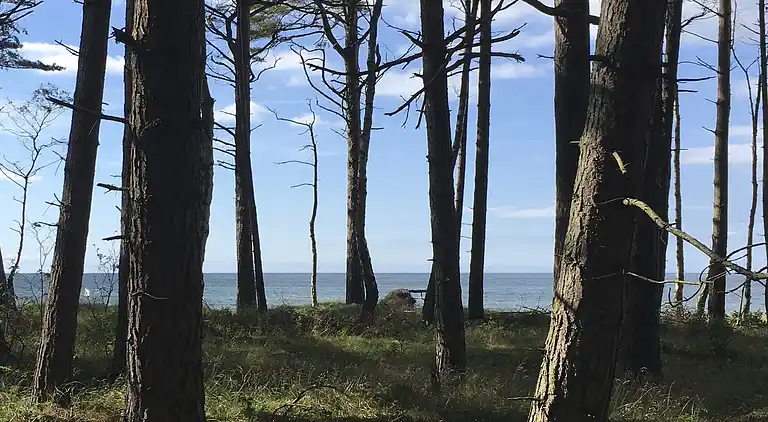 Sommerhus i Kopalino