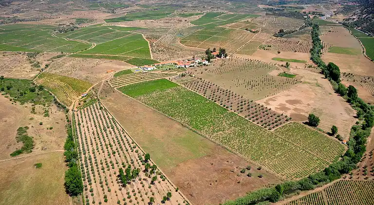Holiday home in Vila Flor